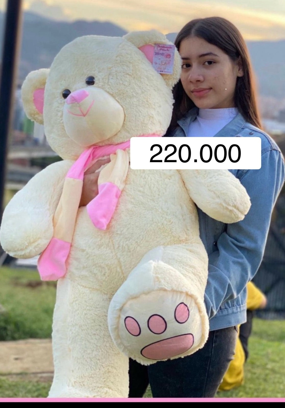 Teddy bear 1 m