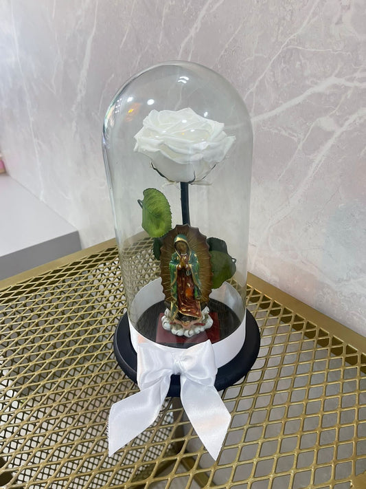 Rosa Preservada Grande y Santo a Color