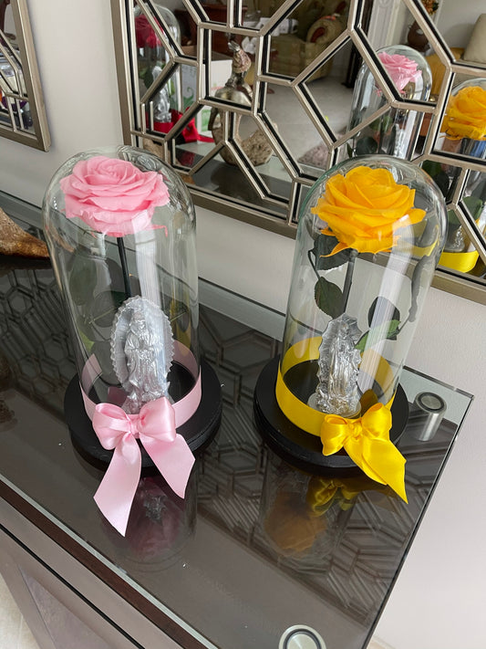 Rosa Preservada y Virgen Pequeña