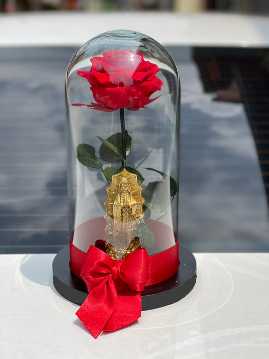 Rosa Preservada y Virgen Pequeña