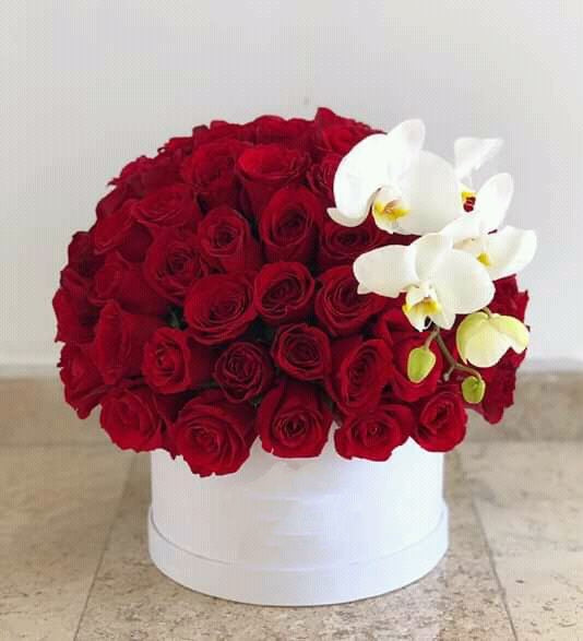 Pompon con Orquídeas y Rosas