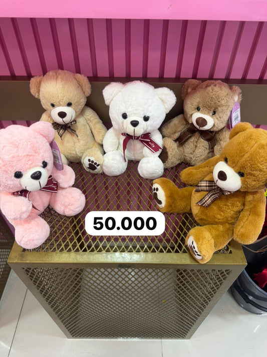 Oso de peluche pequeño